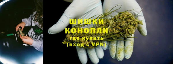 прущие грибы Верея