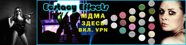 прущие грибы Верея