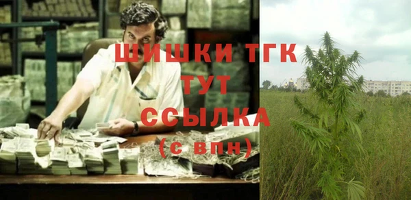 прущие грибы Верея